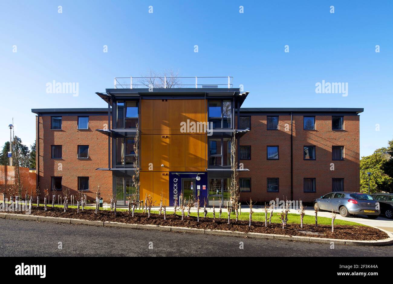 Birks Hall, Université d'Exeter, Exeter. Willmore Iles Architects ont terminé un vaste développement de logements pour étudiants à l'Université d'ex Banque D'Images