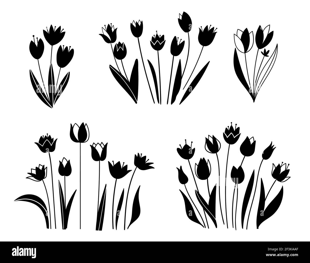 Ensemble fleuri. Croquis de fleurs, de plantes, de feuilles. Illustration dessinée à la main. Silhouette de tulipes en noir et blanc. Fleurs de printemps isolées sur wh Illustration de Vecteur