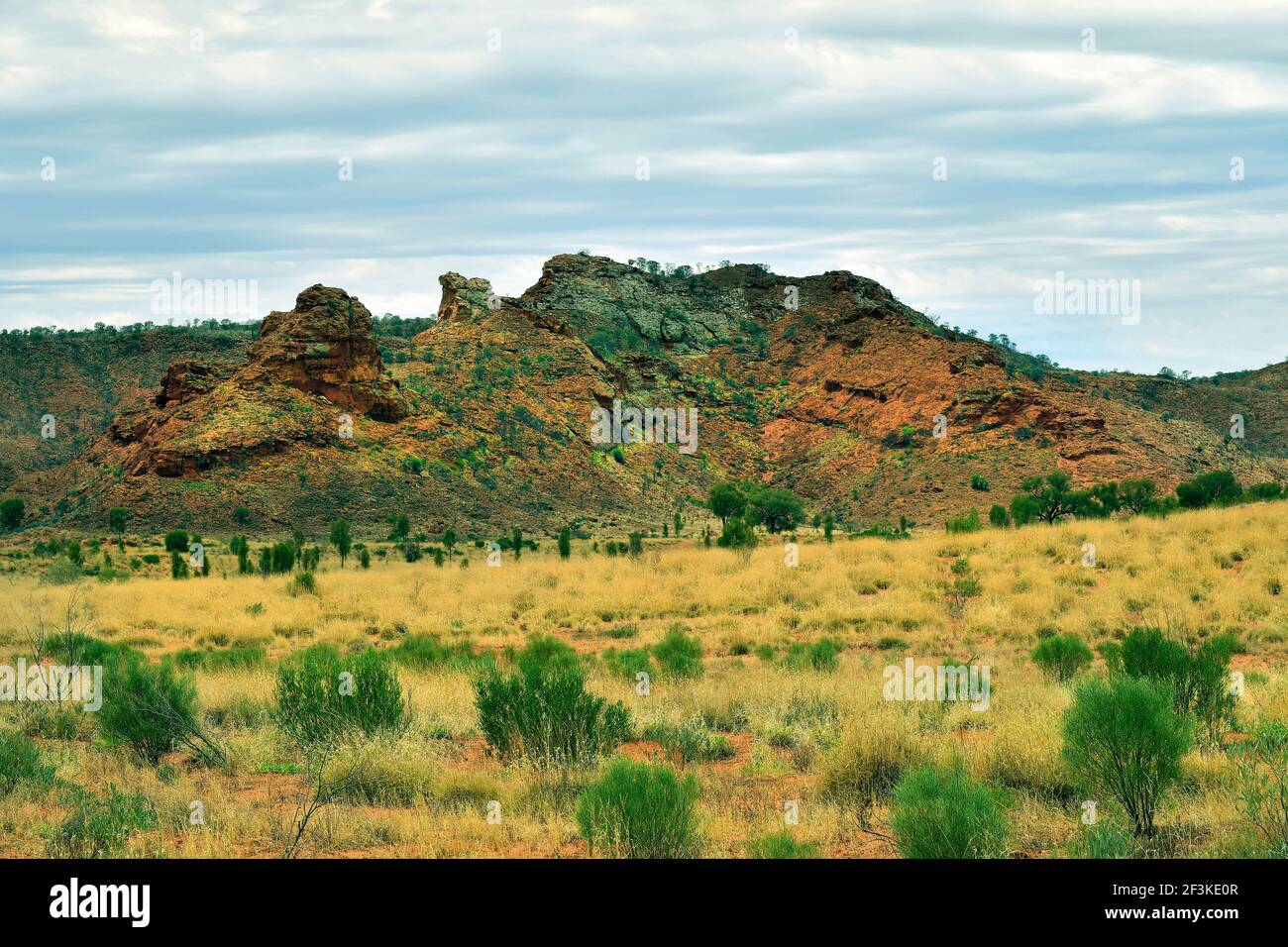 Australie, territoire du Nord, paysage de l'Outback près d'Alice Springs Banque D'Images