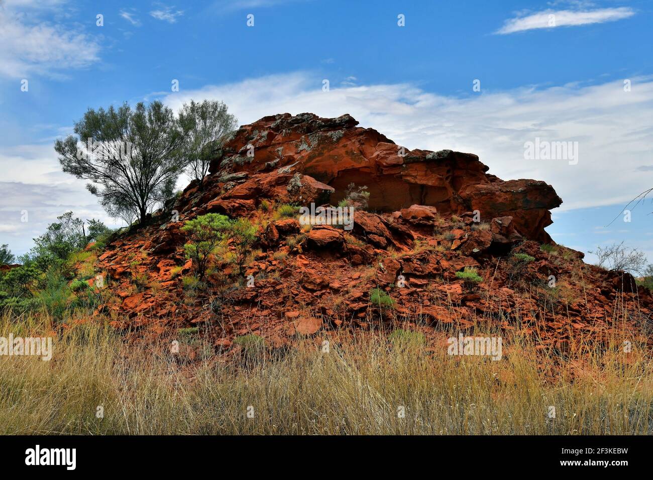 L'Australie, NT, public Ewaninga Réserve de conservation, avec gravures préhistoriques aborigènes et site historique, rock avec les lichens Banque D'Images