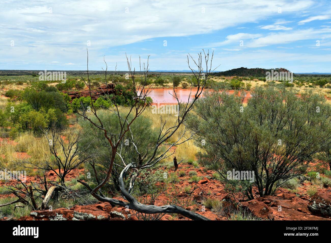 Australie, territoire du Nord, réserve de conservation publique d'Ewaninga, zone avec gravures préhistoriques et site historique des Aborigènes, Banque D'Images