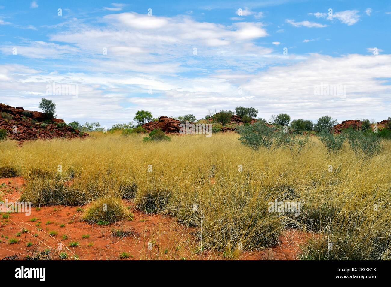 L'Australie, NT, public Ewaninga Réserve de conservation, avec gravures préhistoriques aborigènes et site historique Banque D'Images
