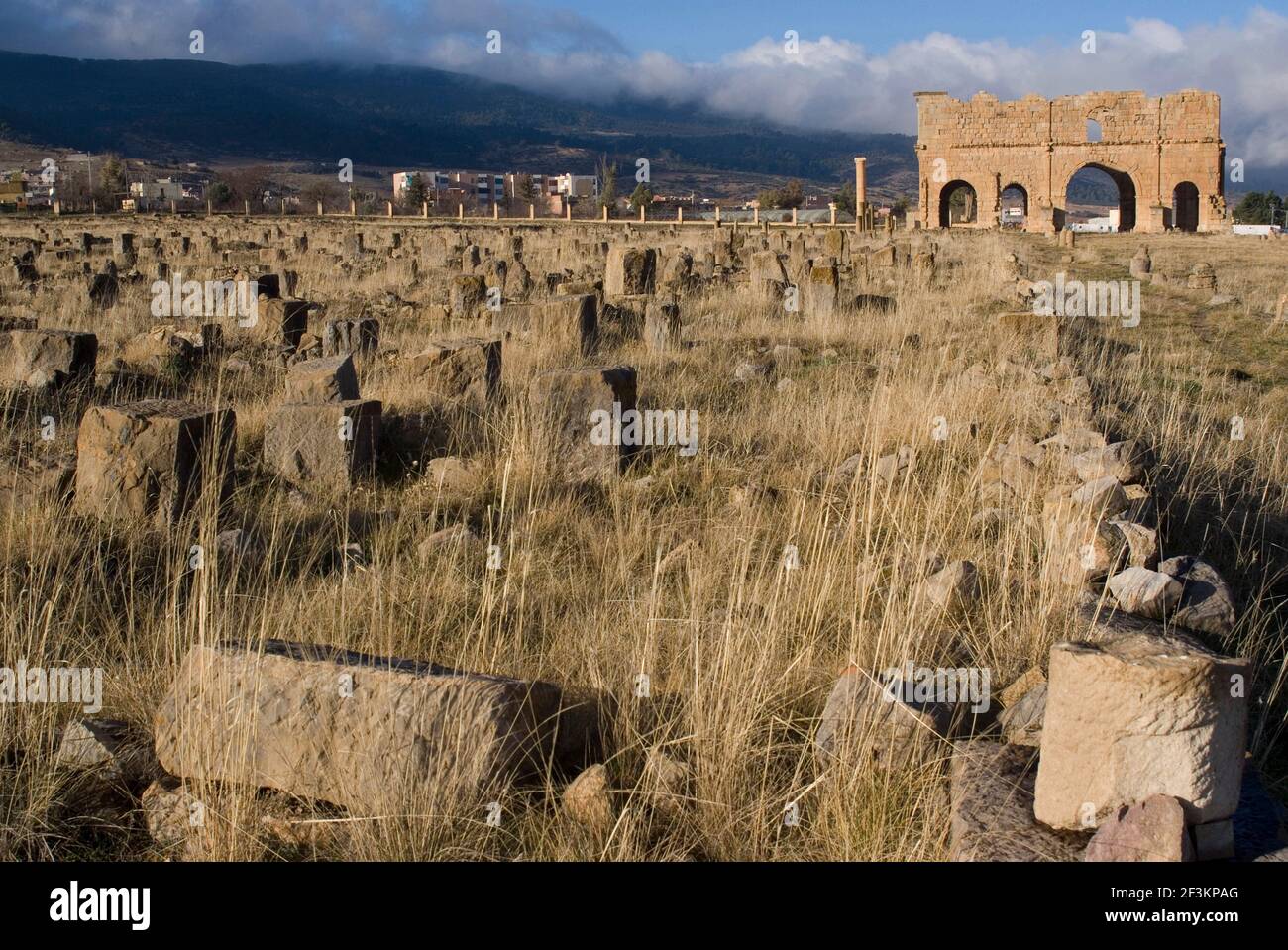 Traversée de la salle et des casernes, site romain de Lambaesis, site de la troisième légion Auguste, Batna, Algérie | AUCUN | Banque D'Images