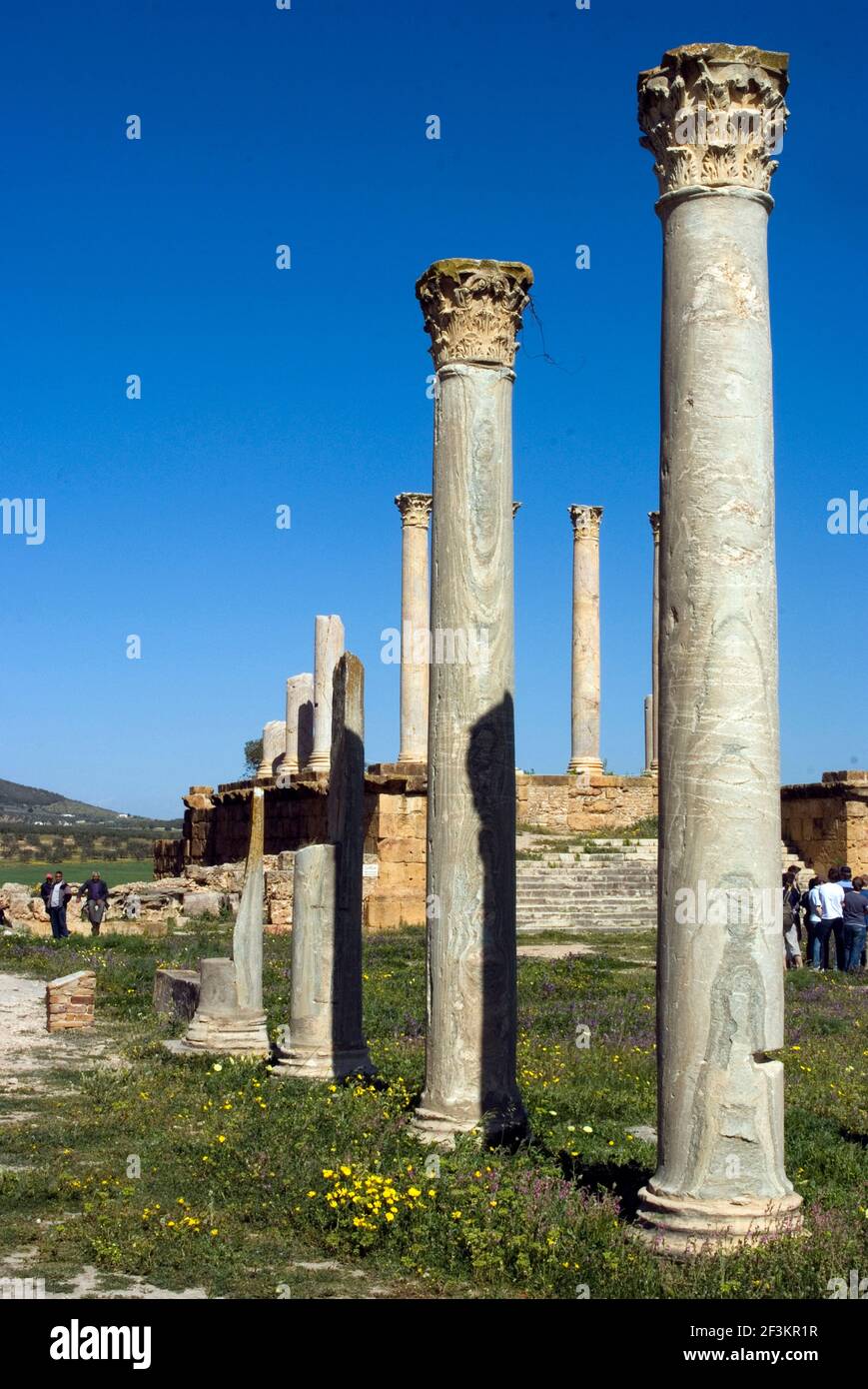 Capitolium (Temple des trois dieux de la ville, Jupiter, Juno et Minerva), Thuburbo Magus, Tunisie | AUCUN | Banque D'Images