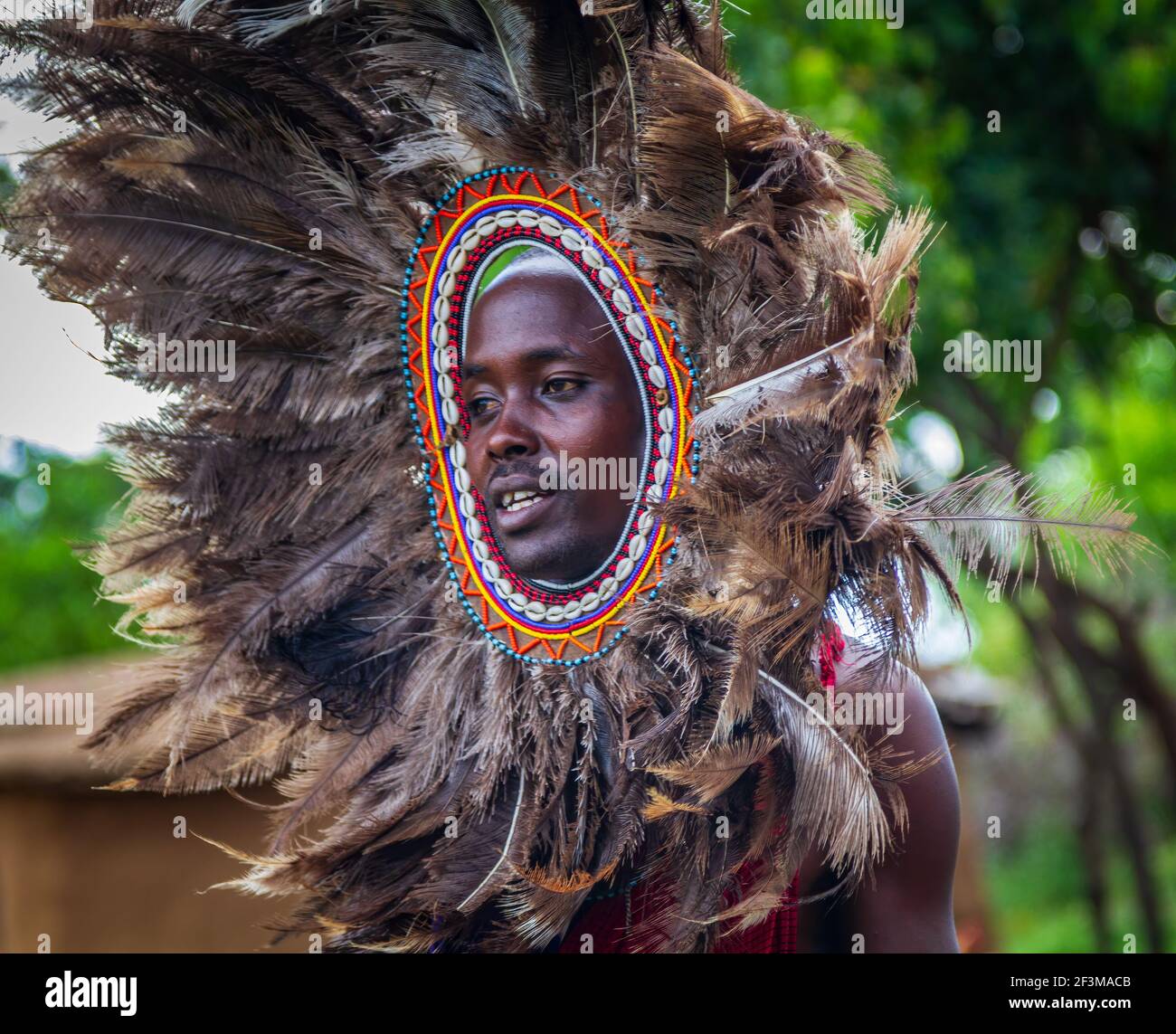 Masai Warrior avec une robe à plumes au Kenya Banque D'Images