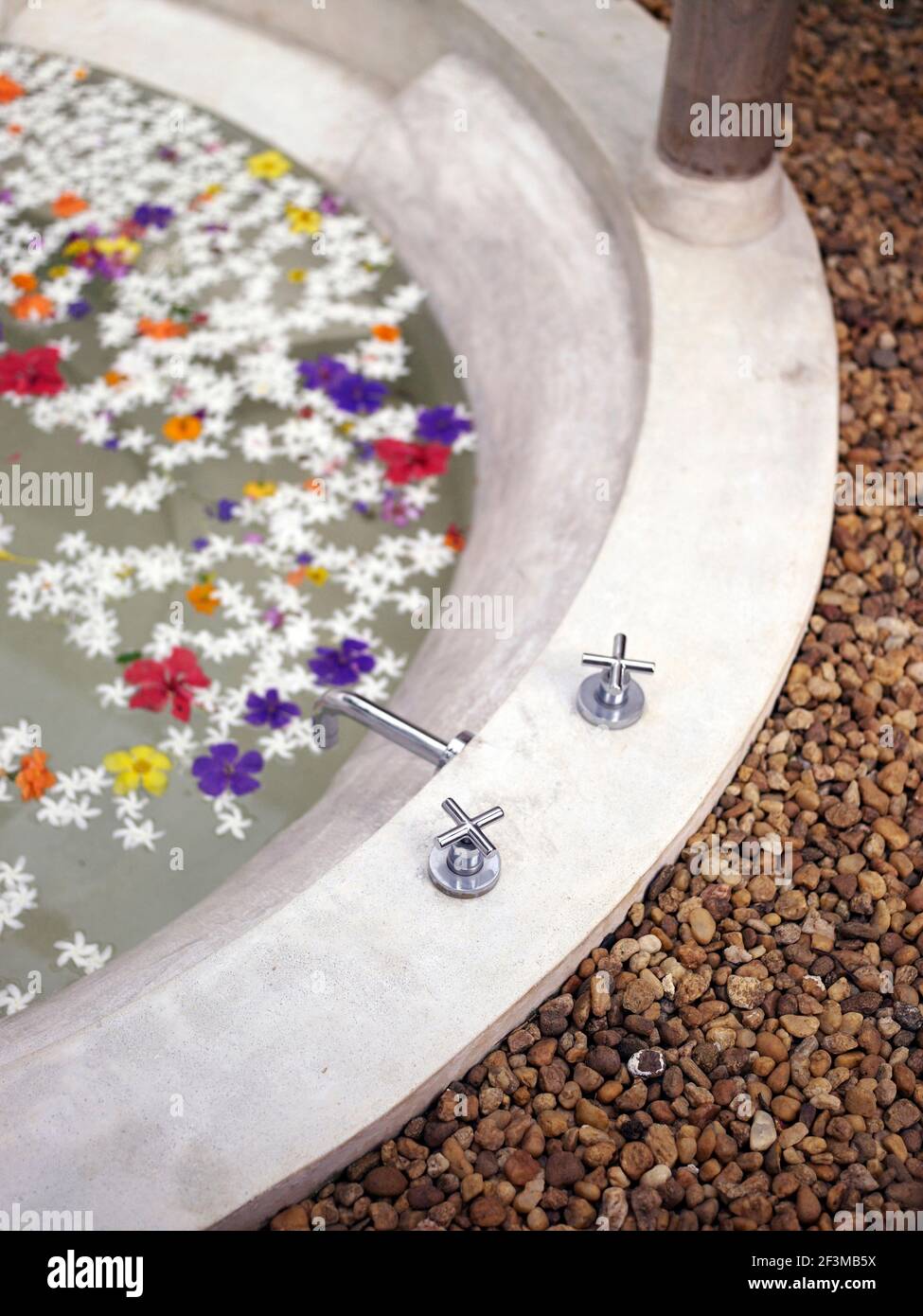 Gros robinets d'un bain extérieur en pierre circulaire avec pétales de fleurs flottant dans l'eau dans le jardin de la villa, Sri Lanka Banque D'Images