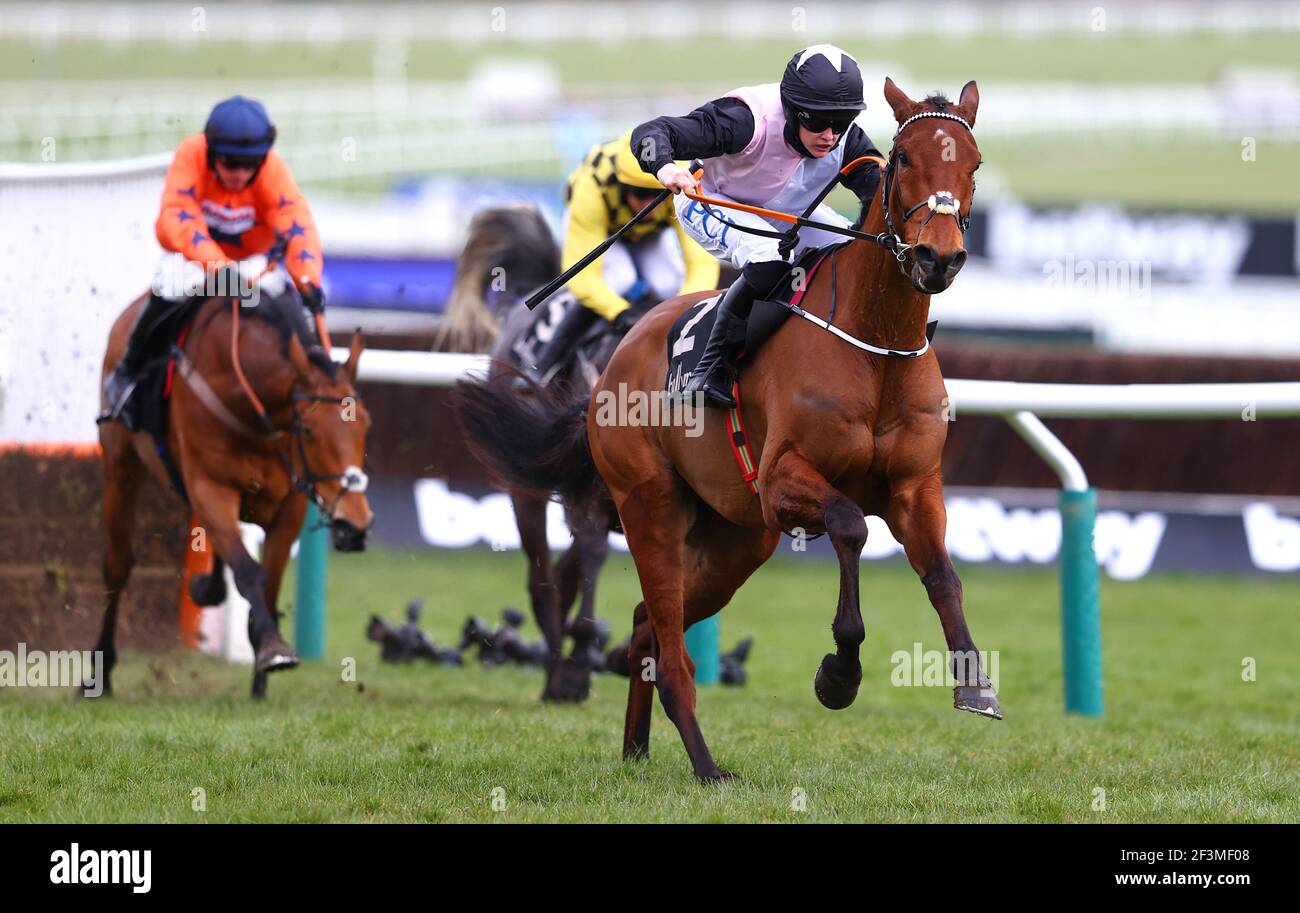 Bob Olinger, monté par Rachael Blackmore, rentre à la maison pour gagner l'obstacle des débutants de Ballymore pendant le deuxième jour du Cheltenham Festival à l'hippodrome de Cheltenham. Date de la photo: Mercredi 17 mars 2021. Banque D'Images Bob Olinger, monté par Rachael Blackmore, rentre à la maison pour gagner l'obstacle des débutants de Ballymore pendant le deuxième jour du Cheltenham Festival à l'hippodrome de Cheltenham. Date de la photo: Mercredi 17 mars 2021. Banque D'Images