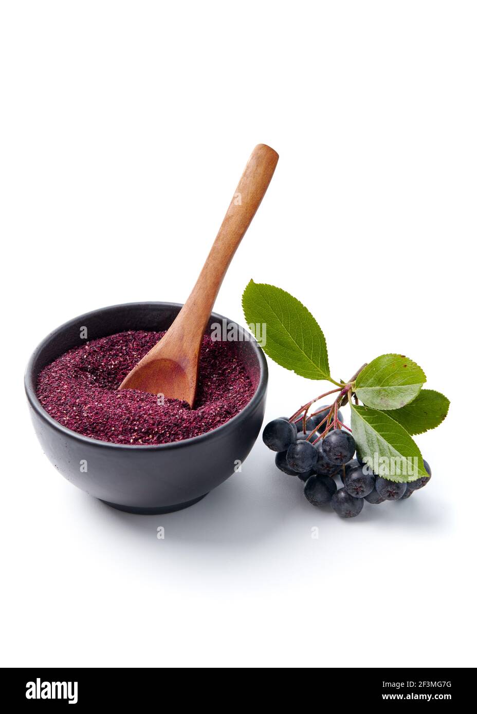 Baies d'Aronia et poudre sur fond blanc Banque D'Images