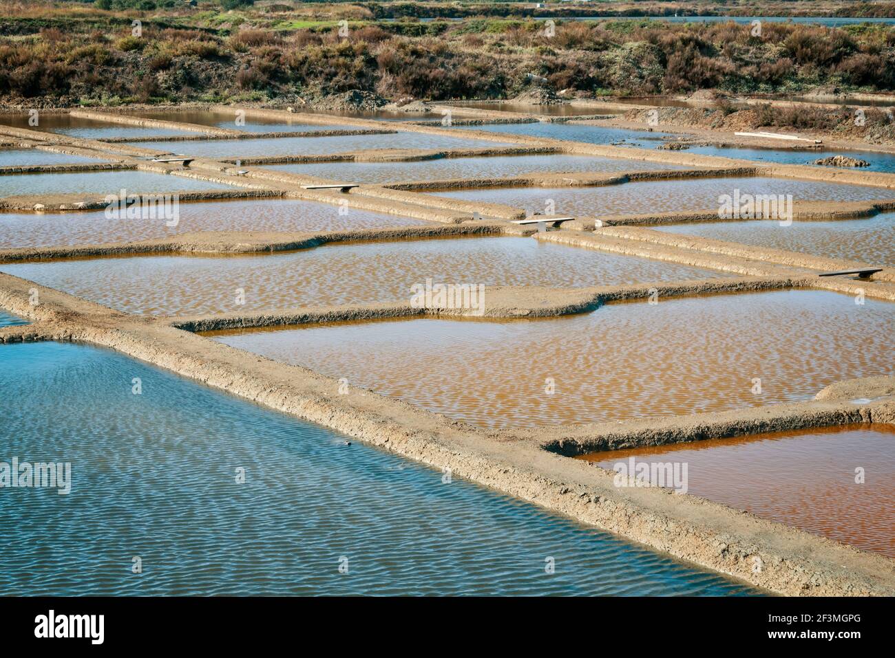 Paysage de marais salants dans la péninsule de Guérande, France Banque D'Images