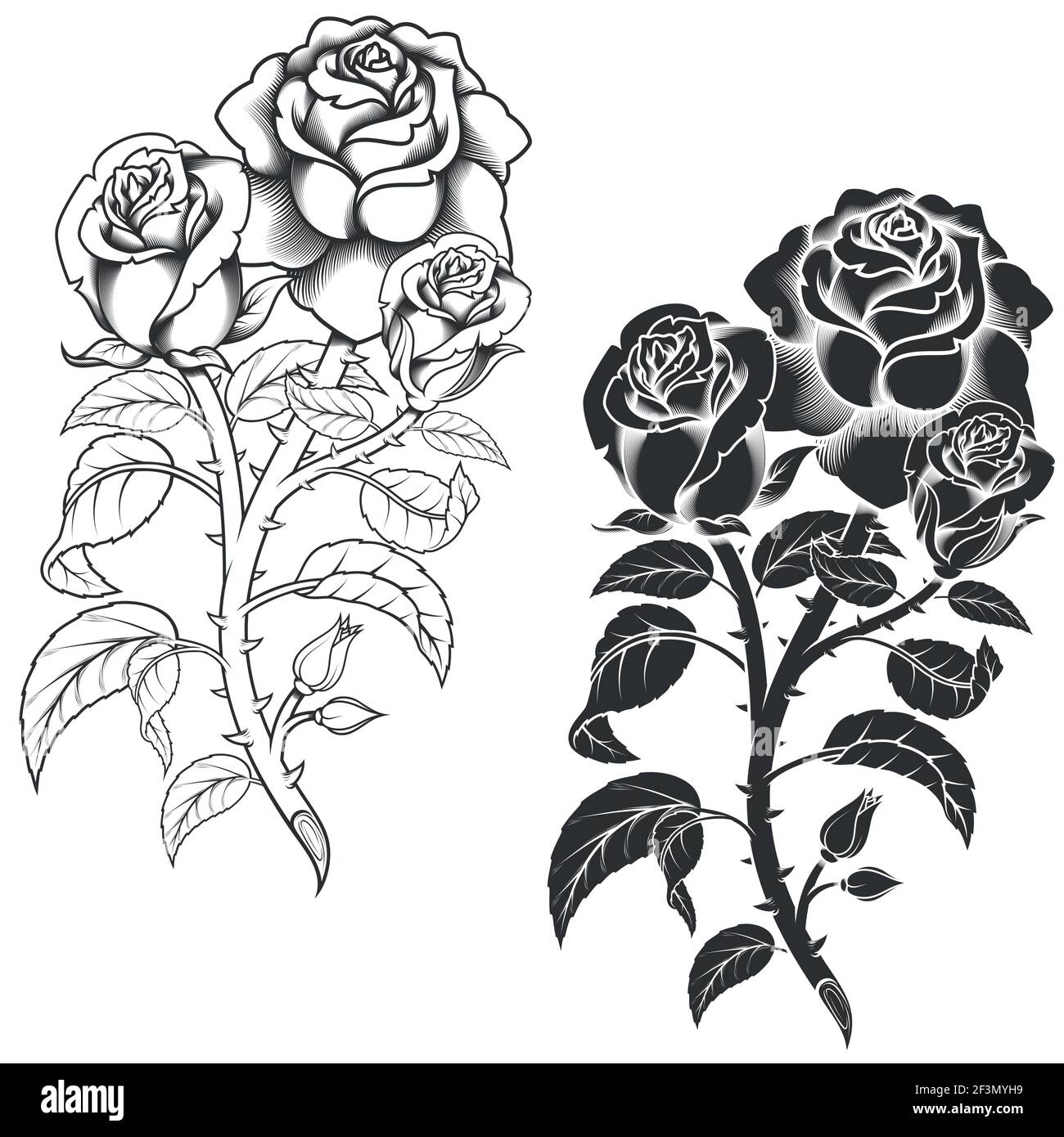 Dessin vectoriel d'un bouquet de fleurs, en noir et blanc, le tout sur fond  blanc Image Vectorielle Stock - Alamy