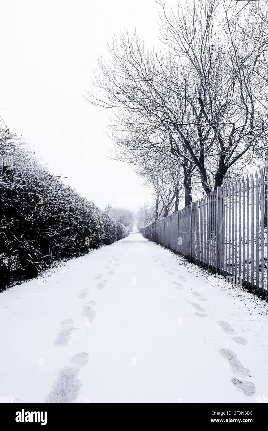Un chemin couvert de neige avec clôture d'un côté et haies de l'autre Banque D'Images