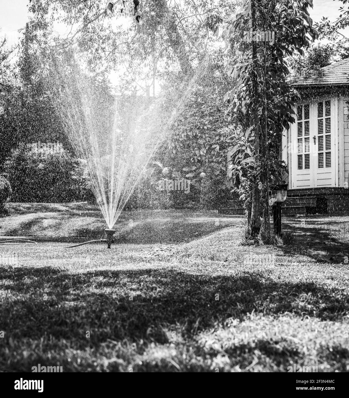 Jardin d'eau en arrosage Banque D'Images