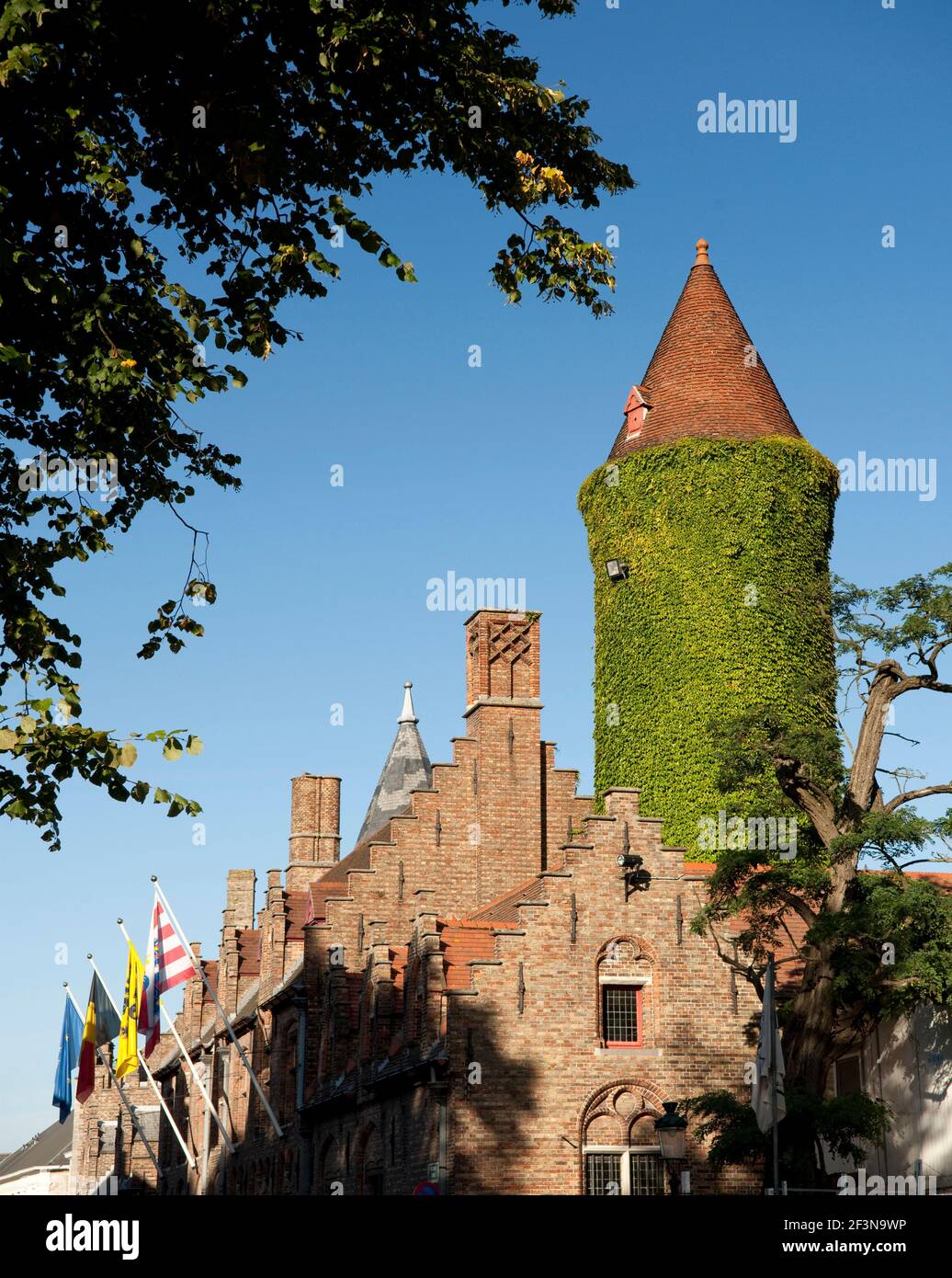 Le musée Gruuthuse, situé dans le centre de la vieille ville de Bruges, est célèbre pour sa tour revêtue de lierre et son architecture gothique saisissante. La maison Gruuthuse et Banque D'Images