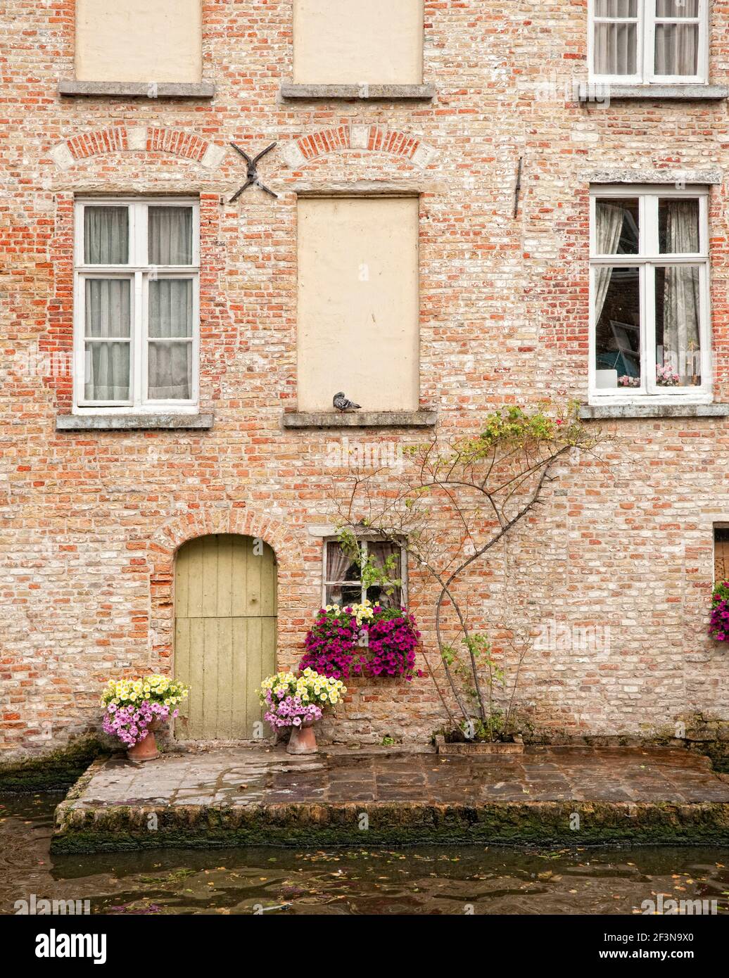 De nombreuses maisons de marchands historiques de Bruges se trouvent devant un réseau complexe de canaux qui ont été utilisés comme routes commerciales dans le passé, mais sont maintenant utilisés comme un m Banque D'Images