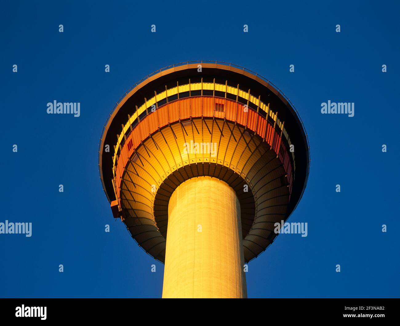 La tour de Calgary est une tour d'observation autonome de 191 mètres ou 627 pieds de haut, construite en 1968, au milieu de la ville. Banque D'Images