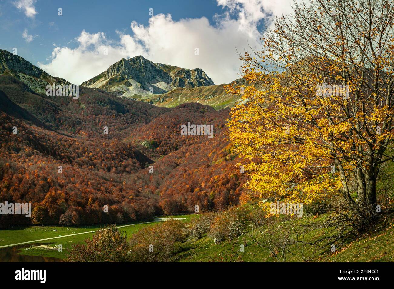 Paysage de montagne des Abruzzes Lazio et du parc national Molise en automne. Abruzzes Lazio et Molise National Park, Molise, Italie, Europe Banque D'Images