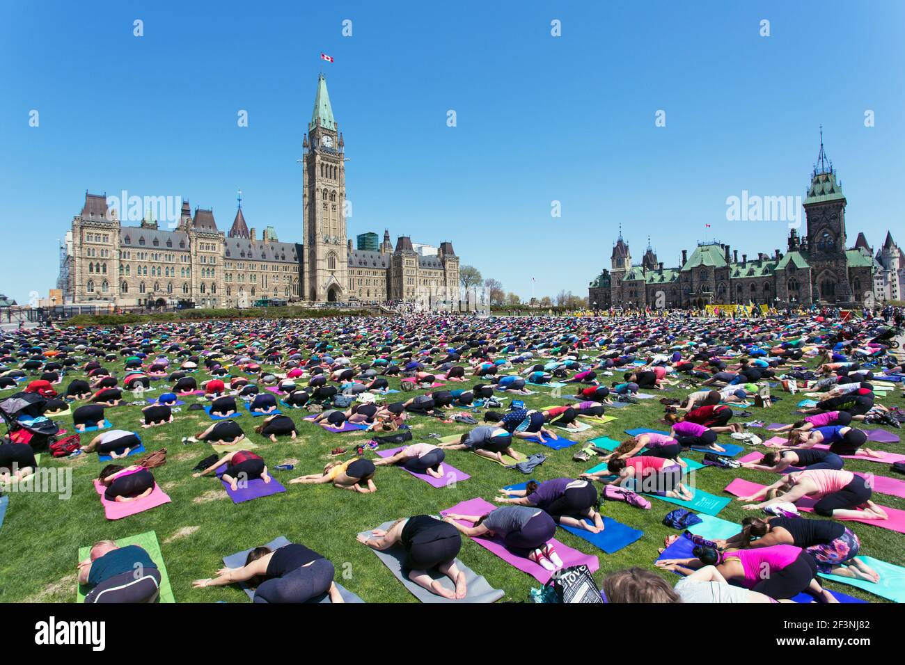 Canada,Ontario,Ottawa, Colline du Parlement, groupe de masse de personnes pratiquant le yoga Banque D'Images