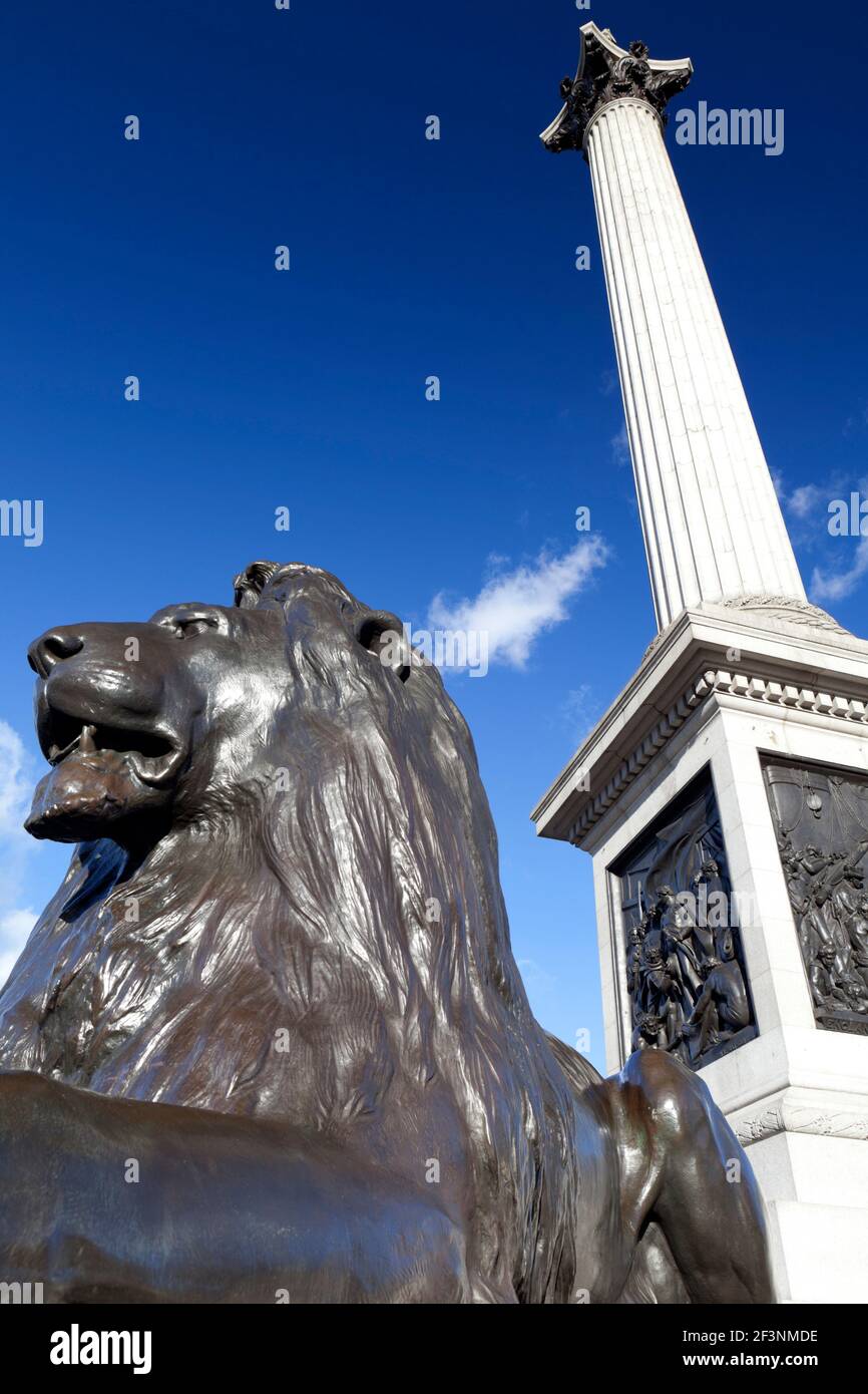 Colonne de Nelson et statue du lion de Landseer à Trafalgar Square, Londres, WC2. Banque D'Images