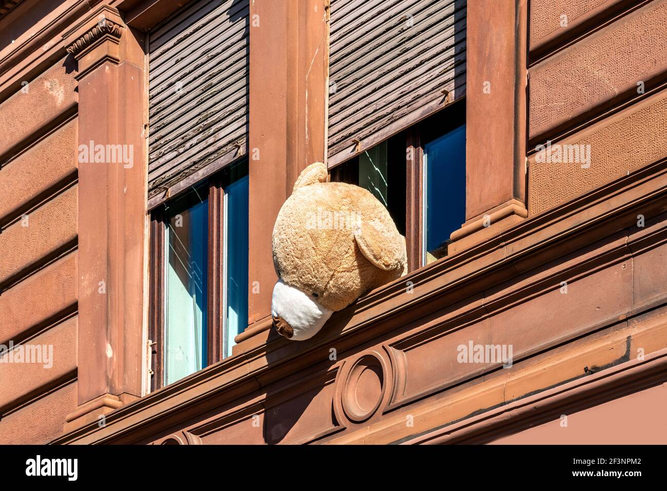 Grand ours en peluche solitaire qui regarde par la fenêtre Banque D'Images