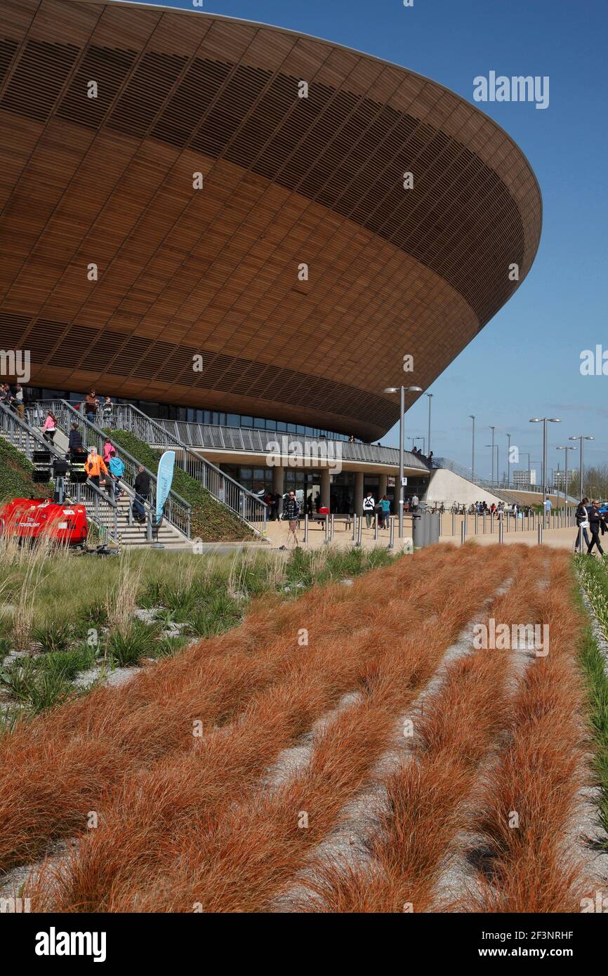 Graminées ornementales planté en face du vélodrome. Banque D'Images