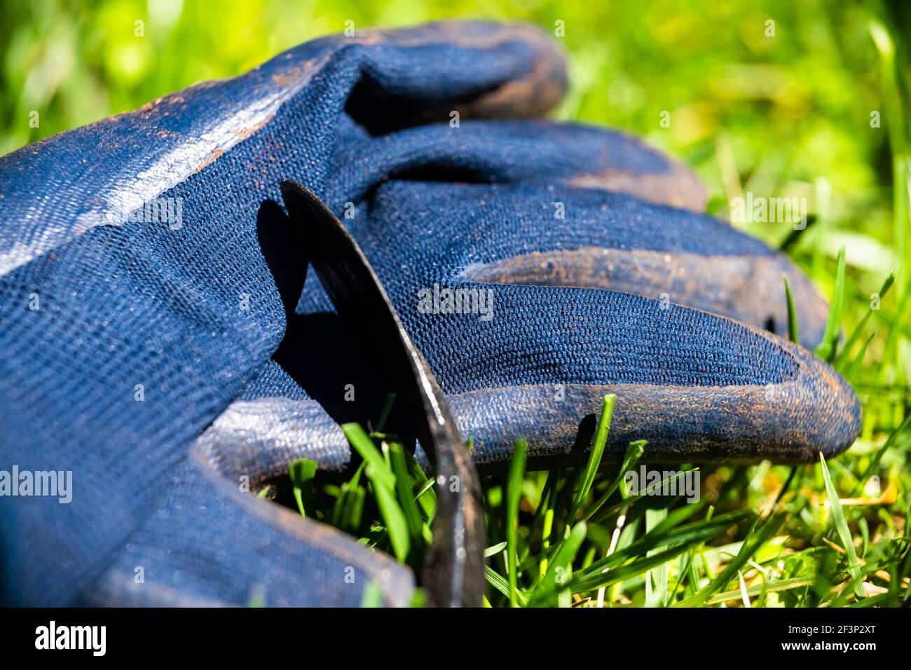 Macro gros plan de gants de jardinage de protection avec poignée en  caoutchouc et déposez le cultivateur de désherbage à la main sur une  pelouse en herbe verte à la maison jardin