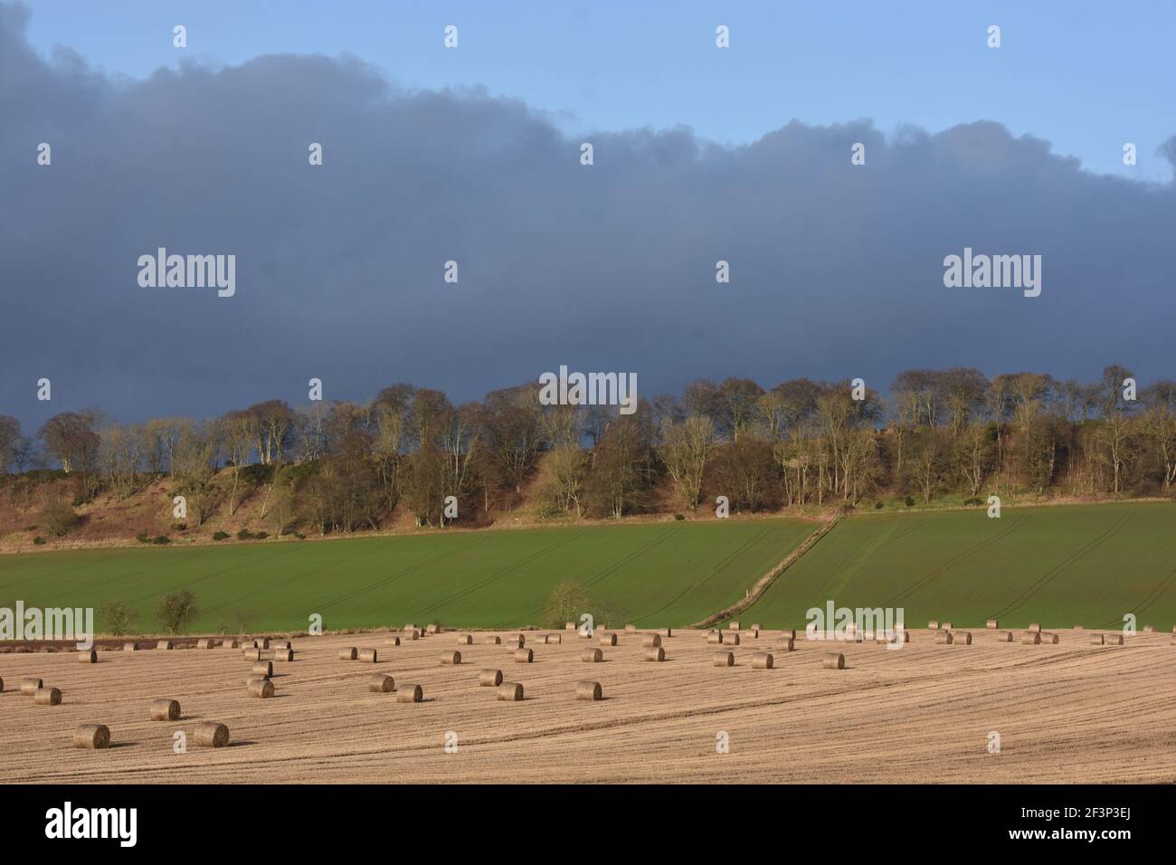 Terres agricoles, Aberdeenshire Banque D'Images