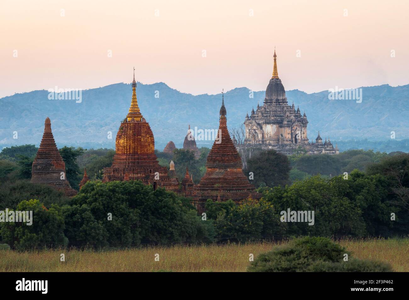Temples bouddhistes anciens au coucher du soleil dans le Vieux Bagan, Myanmar (Birmanie). Banque D'Images