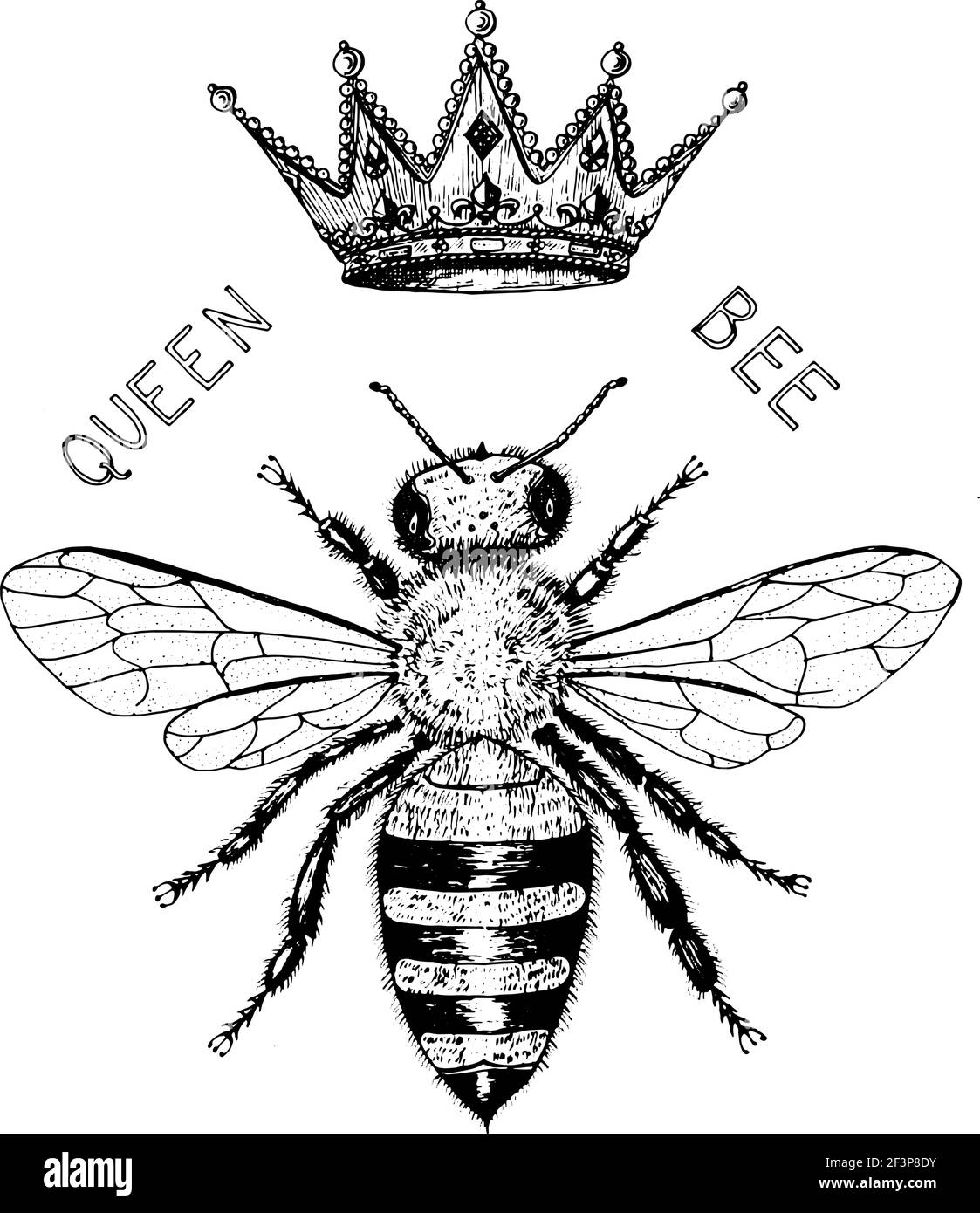Logo abeille et miel. Mead et insecte et floral et apiculture. Nid d'abeilles et ruche Vector gravé à la main Vintage Old sketch pour t-shirt ou Illustration de Vecteur