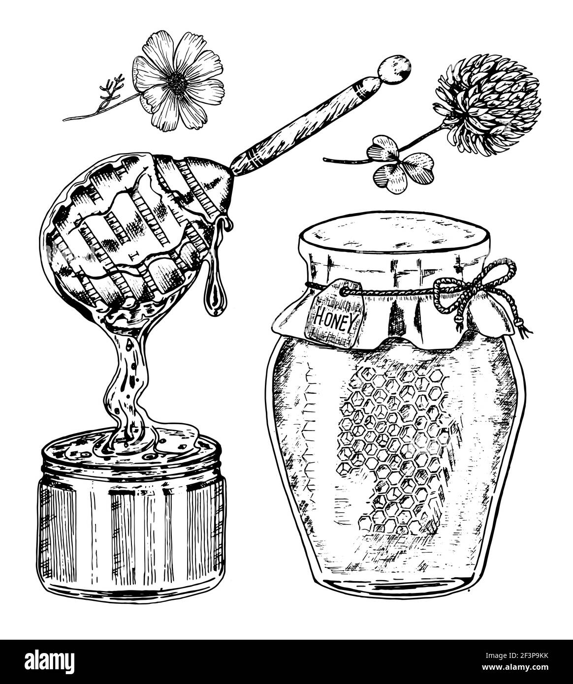 Abeille et miel. Mead et fleurs et Beebeeping. Dessin vectoriel gravé à la main ancien croquis pour t-shirt, typographie ou badge. Illustration de Vecteur