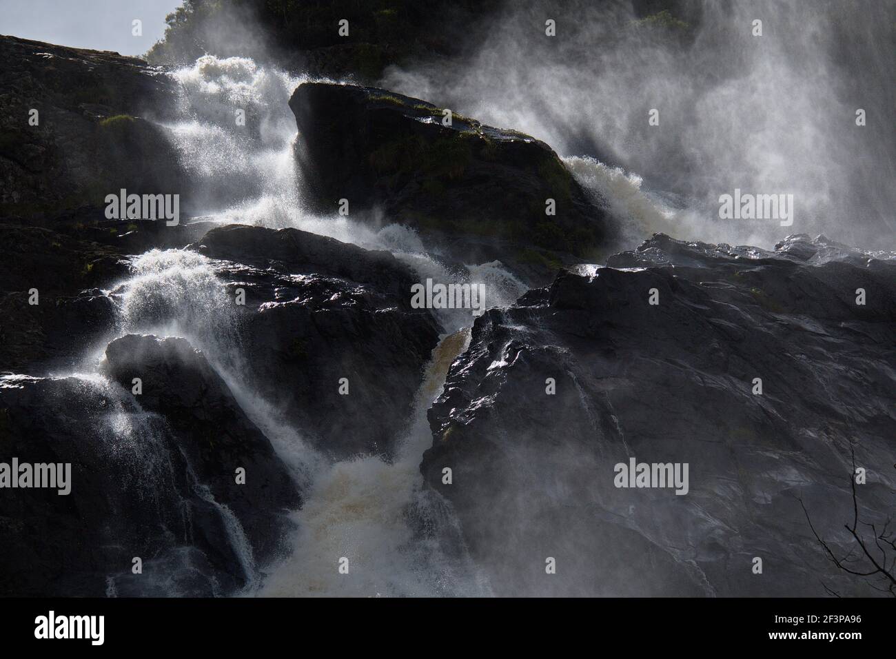 St Columba Falls en Tasmanie Banque D'Images