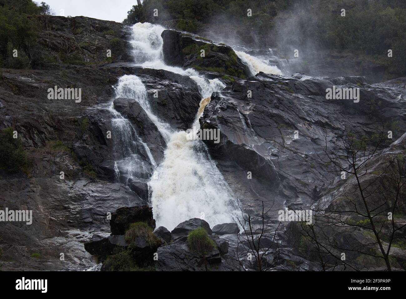 St Columba Falls en Tasmanie Banque D'Images