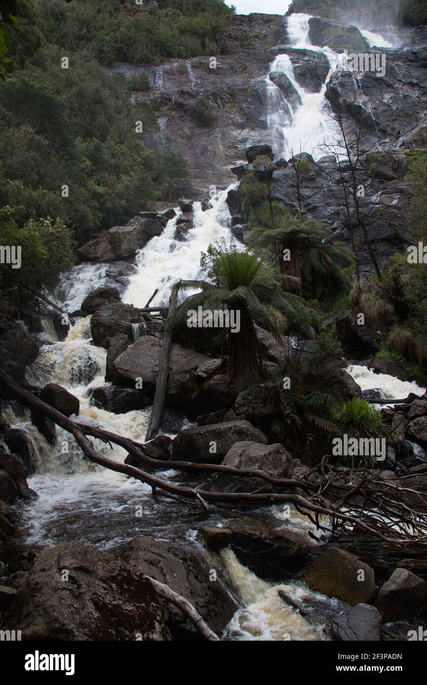 St Columba Falls en Tasmanie Banque D'Images