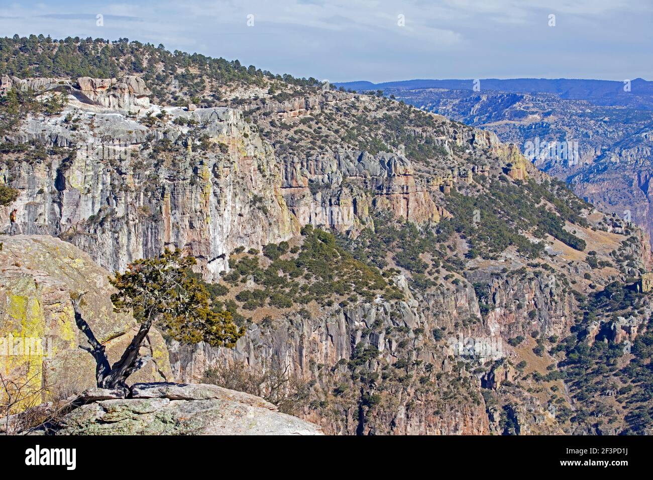 Vue sur le Copper Canyon / Barrancas del Cobre à proximité El Divisadero dans la Sierra Madre Occidental dans Chihuahua in Nord-Ouest du Mexique Banque D'Images