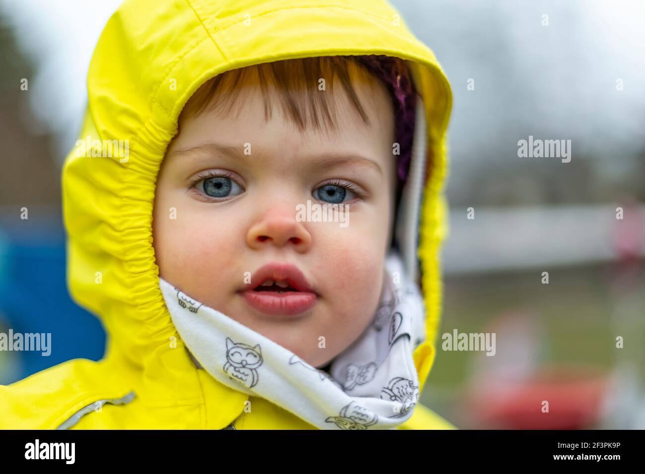 Adorable petite fille aux yeux bleus portant un imperméable jaune vif; North Vancouver, Colombie-Britannique, Canada Banque D'Images