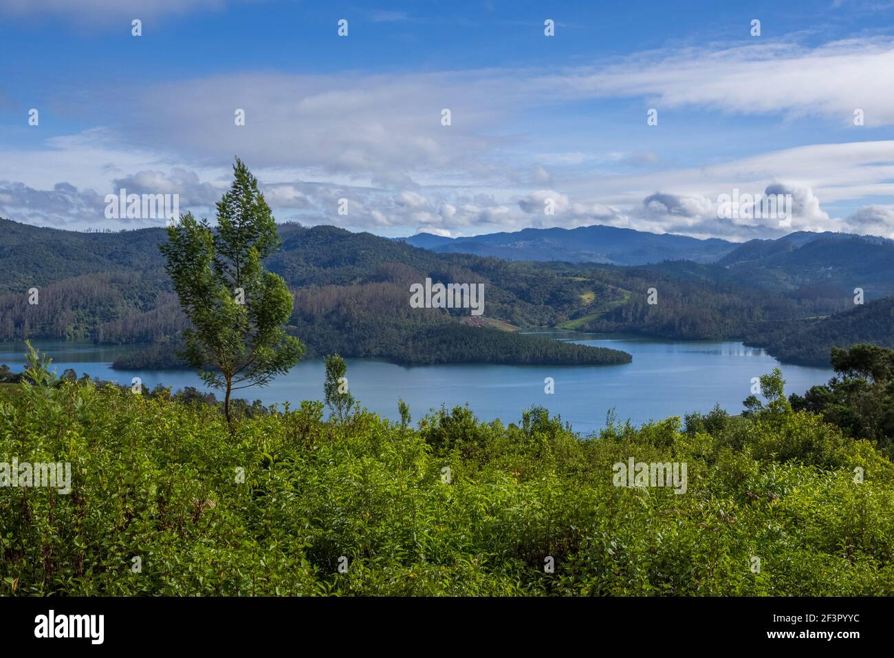 Magnifique lac Emerald situé à la périphérie d'Ooty (Tamil Nadu, Inde) Banque D'Images