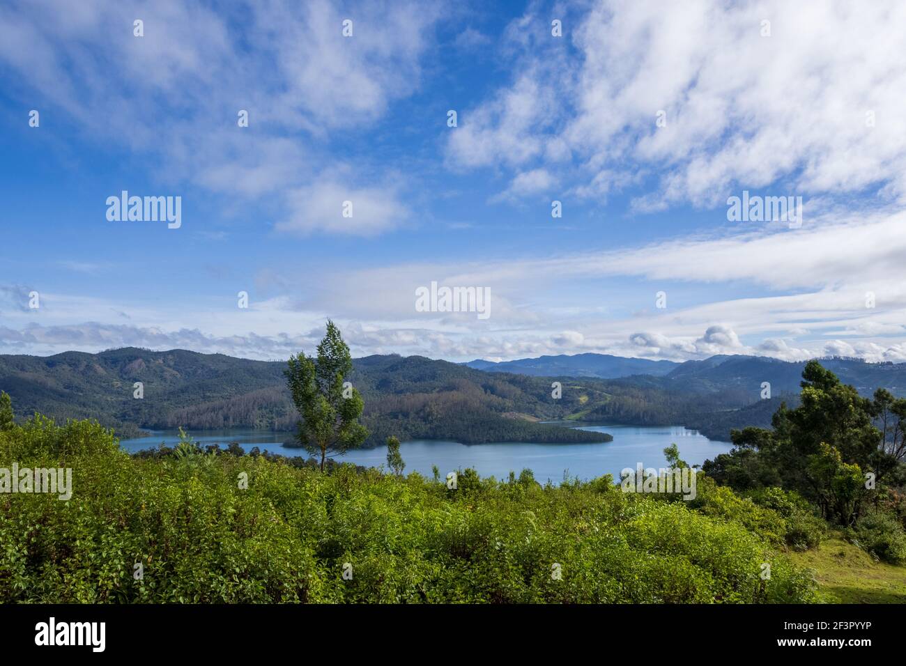Magnifique lac Emerald situé à la périphérie d'Ooty (Tamil Nadu, Inde) Banque D'Images