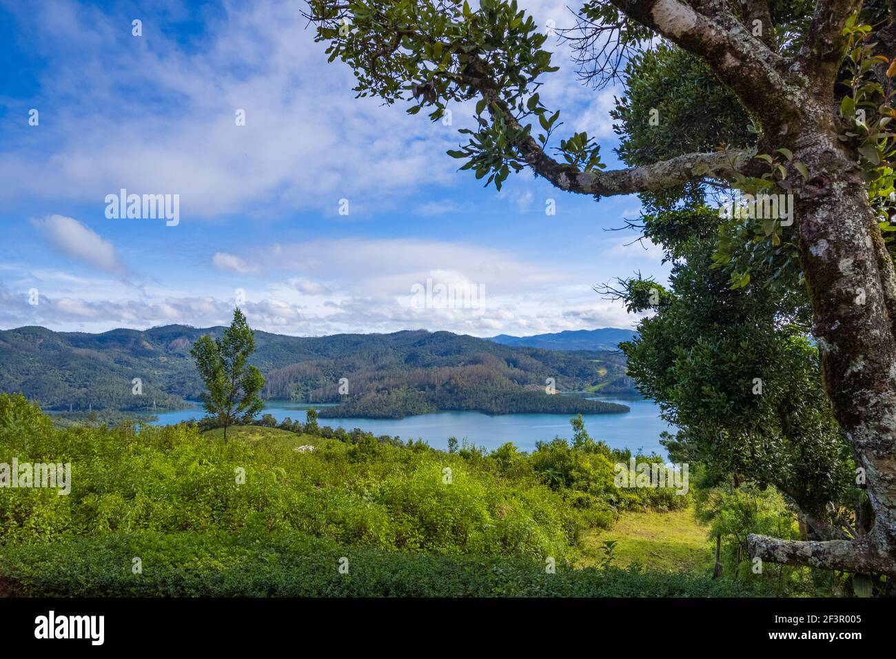 Magnifique lac Emerald situé à la périphérie d'Ooty (Tamil Nadu, Inde) Banque D'Images