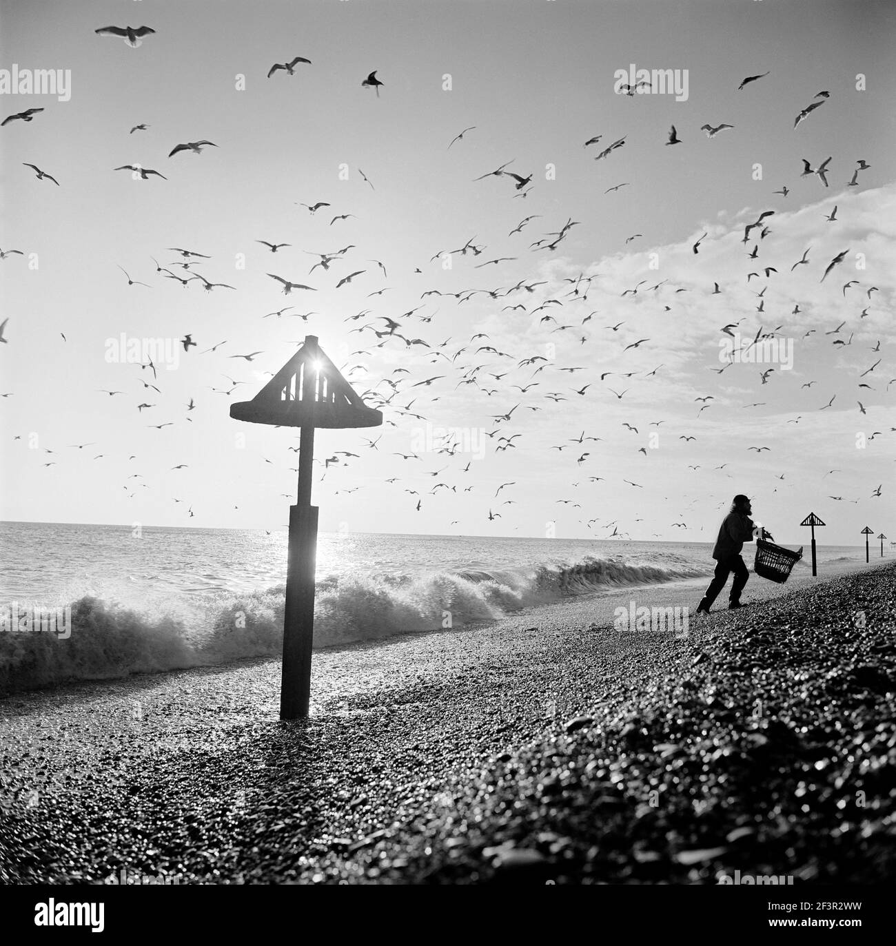 ALDEBURGH BEACH, Suffolk. Vue le long de la plage montrant une ligne de marques de mer et un pêcheur avec un panier en osier se promenant sur la plage avec des goélands wheli Banque D'Images