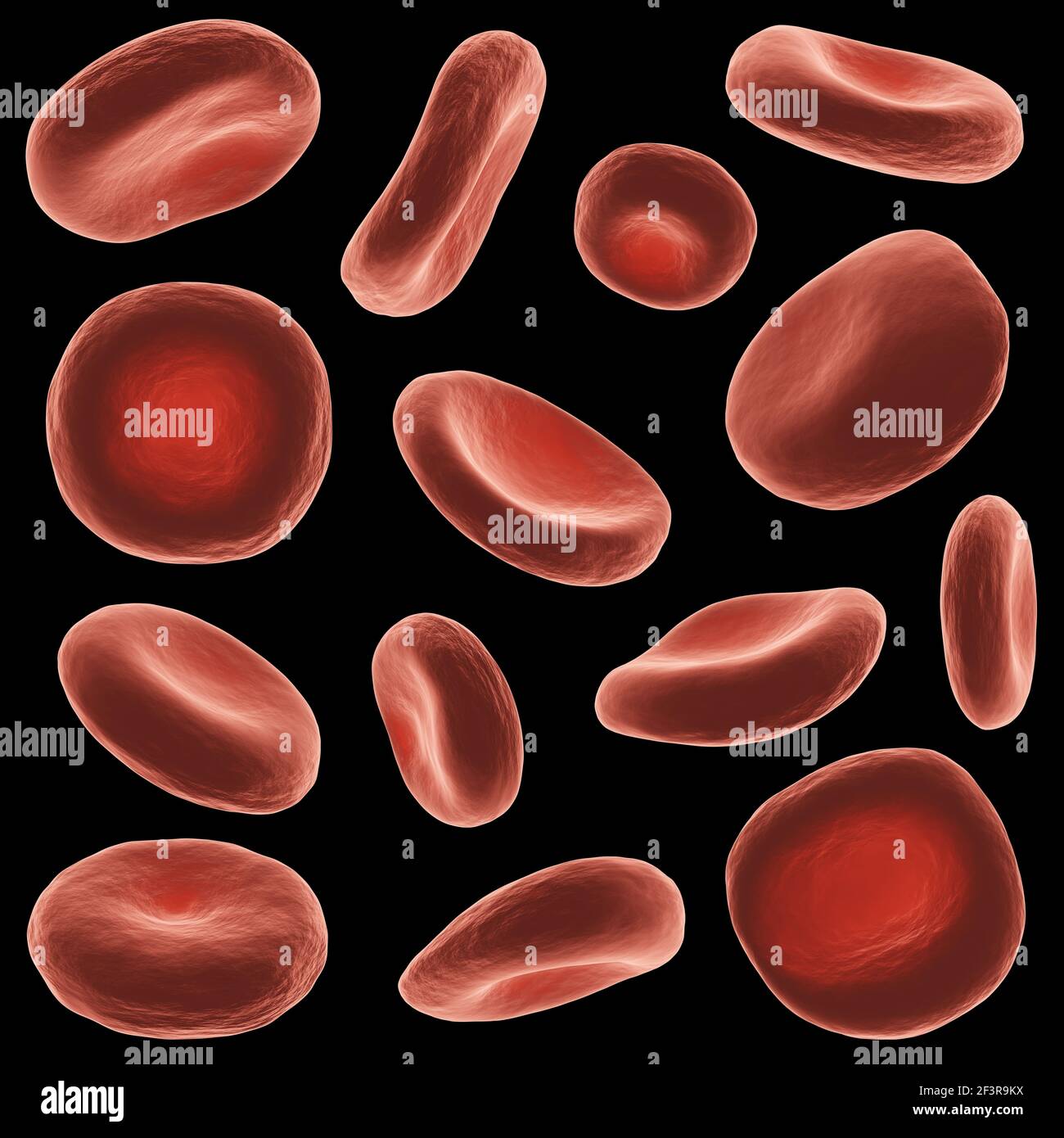 Globules rouges avec une surface très détaillée . Ensemble de vues et de formes différentes . Arrière-plan noir isolé . Rendu 3D . Banque D'Images