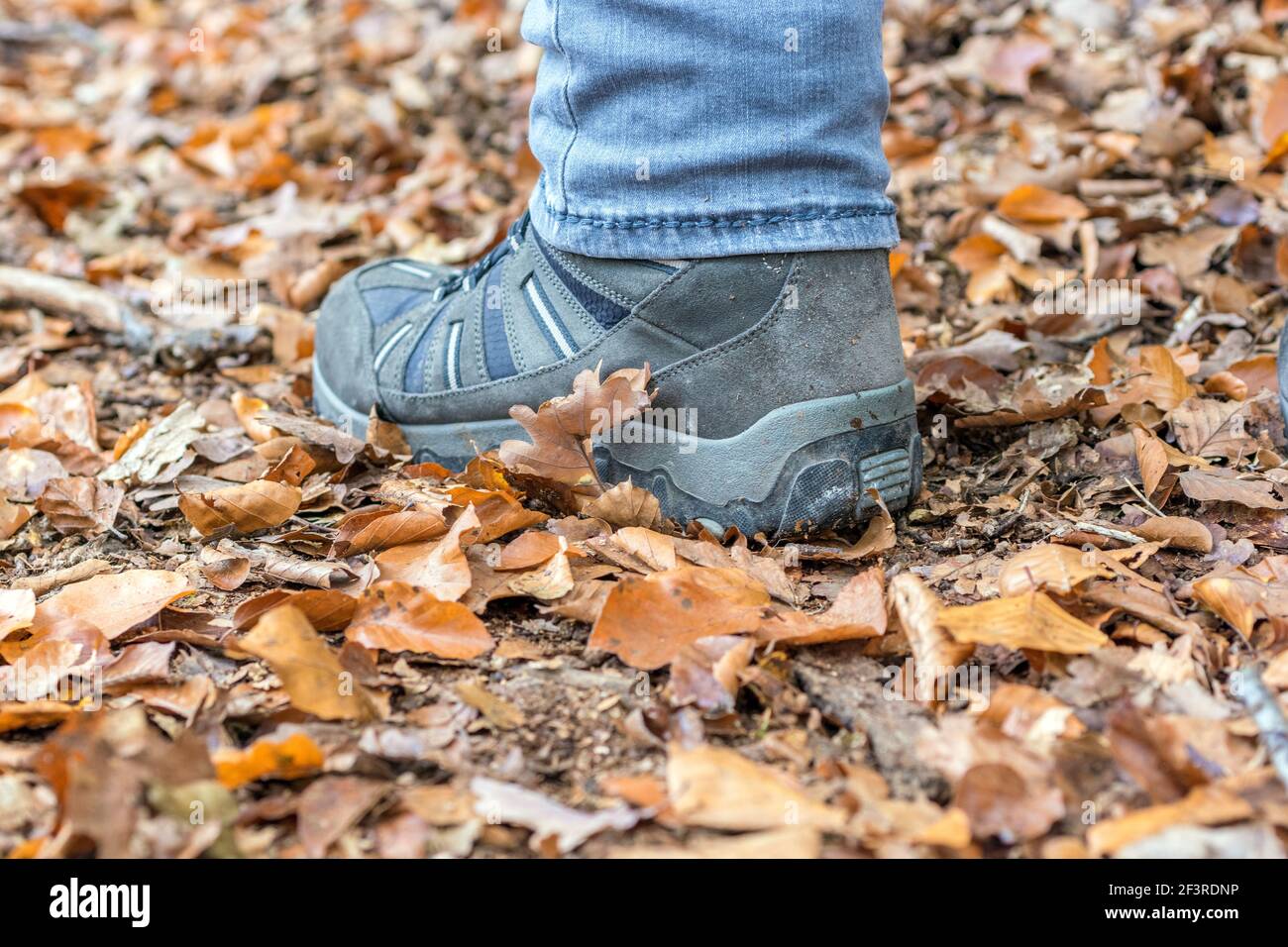 Chaussure d'un homme qui court sur un sol forestier d'automne Banque D'Images