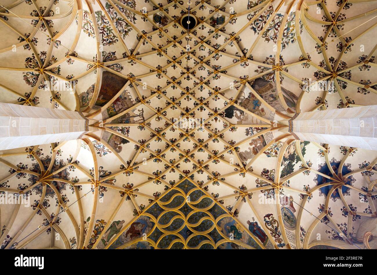 Plafond voûté de l'église gothique, Pirna, Saxe, Allemagne Banque D'Images