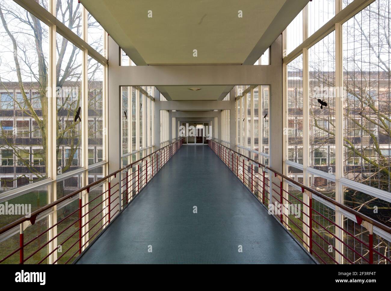 Passage de verre entre les bureaux et l'entrepôt de Vereinigten Seidenwebereien par Egon Eiermann 1951-56, Krefeld, Rhénanie-du-Nord-Westphalie, Allemagne Banque D'Images