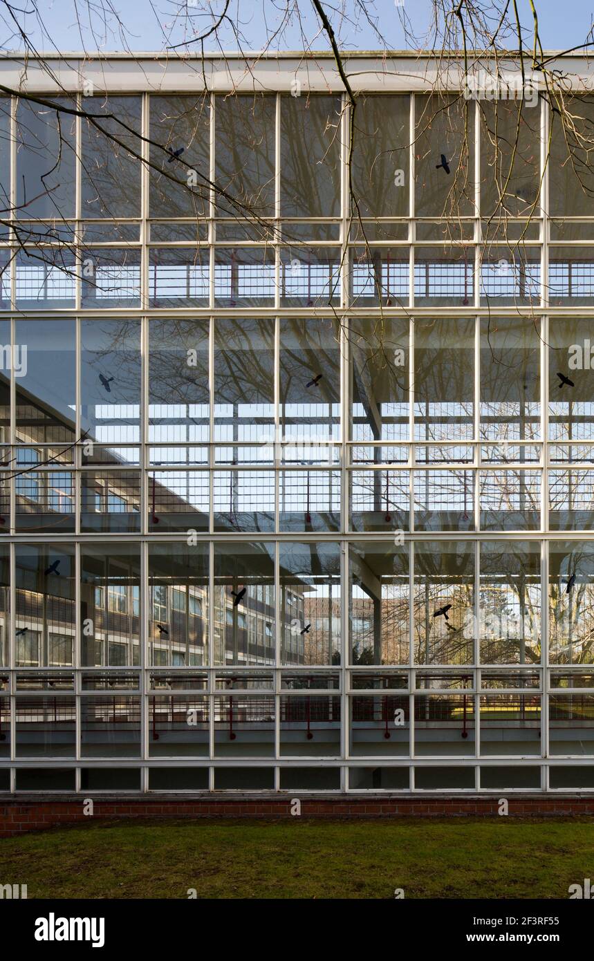 Passage de verre entre les bureaux et l'entrepôt de Vereinigten Seidenwebereien par Egon Eiermann 1951-56, Krefeld, Rhénanie-du-Nord-Westphalie, Allemagne Banque D'Images