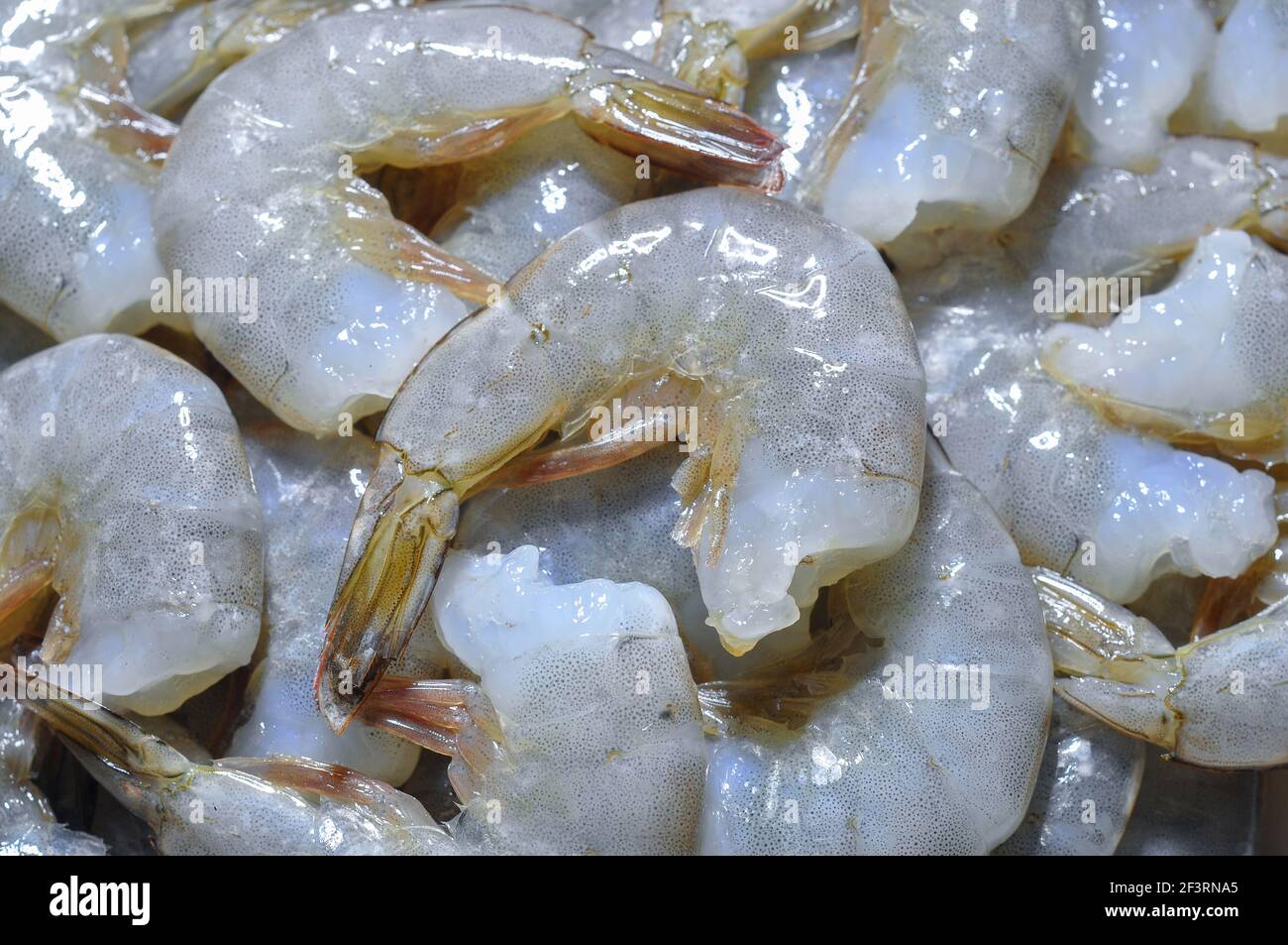 Crevettes fraîches crues. Résumé de la nourriture. Gros plan. Banque D'Images