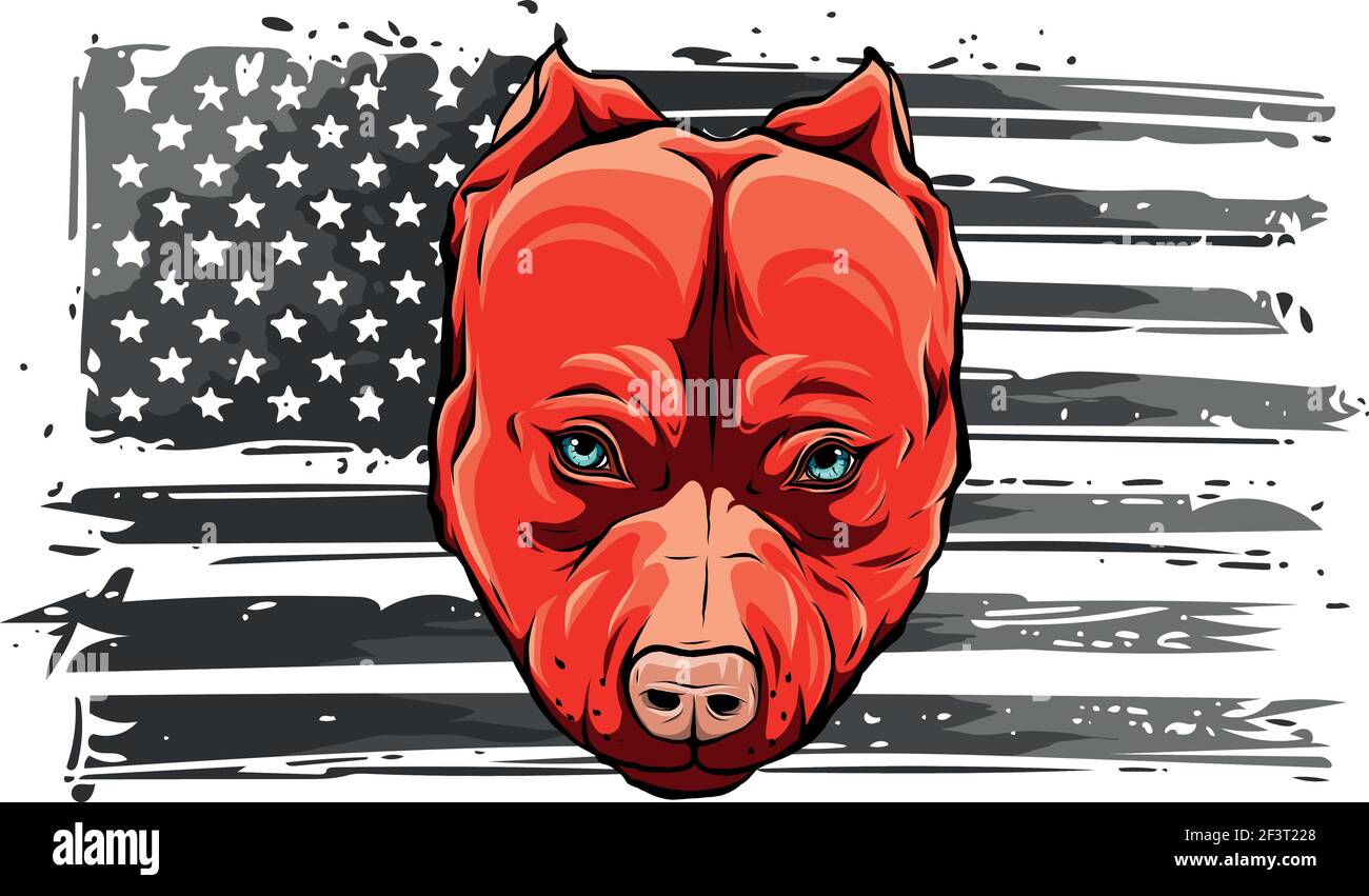drapeau américain avec illustration du vecteur tête de chien Illustration de Vecteur