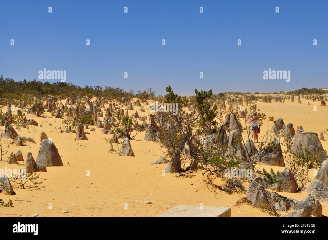 Pinnacles Desert WA Banque D'Images