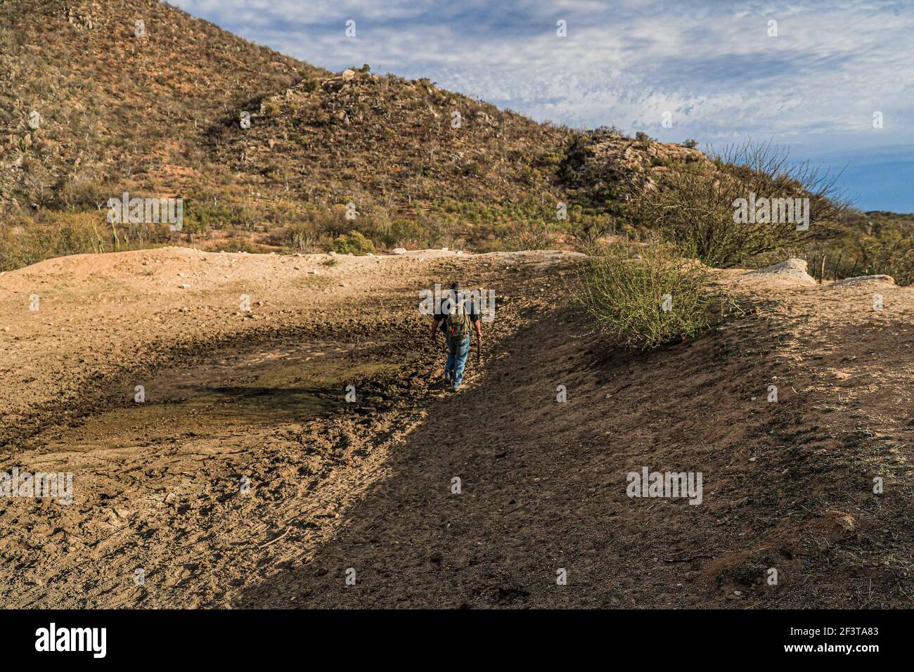 Juan Mario Cirett Galan marche sur le sol et la terre de barrage sec par la sécheresse pendant le travail sur le terrain avec un projet de faune dans le ranch dans le désert et Tonibabi ejido en Sierra la Madera, municipalité de Moctezuma, Sonora, Mexique. (Photo par Luis Gutierrez / Norte photo) Juan Mario Cirett Galan camina sobre el suelo y tierra de repo seco por la sequia durante el trabajo de campo con proyecto de vida silvestre en rancho en el desierto y ejido Tonibabi en la Sierra la Madera, municipio de Moctezuma, sonora, sono Mexique. (Photo par Luis Gutierrez/Norte photo) Banque D'Images