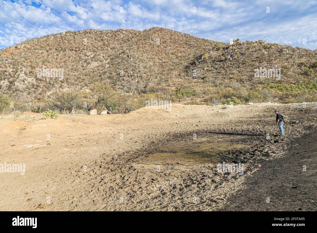 Juan Mario Cirett Galan marche sur le sol et la terre de barrage sec par la sécheresse pendant le travail sur le terrain avec un projet de faune dans le ranch dans le désert et Tonibabi ejido en Sierra la Madera, municipalité de Moctezuma, Sonora, Mexique. (Photo par Luis Gutierrez / Norte photo) Juan Mario Cirett Galan camina sobre el suelo y tierra de repo seco por la sequia durante el trabajo de campo con proyecto de vida silvestre en rancho en el desierto y ejido Tonibabi en la Sierra la Madera, municipio de Moctezuma, sonora, sono Mexique. (Photo par Luis Gutierrez/Norte photo) Banque D'Images