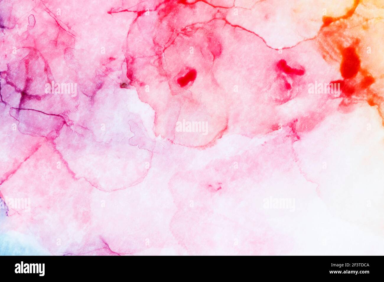 Gros plan macro de couches et de éclaboussures d'encre alcoolisée rose, rouge, violet et orange, arrière-plan abstrait. Encre fluide, fond texturé plein cadre coloré. Banque D'Images