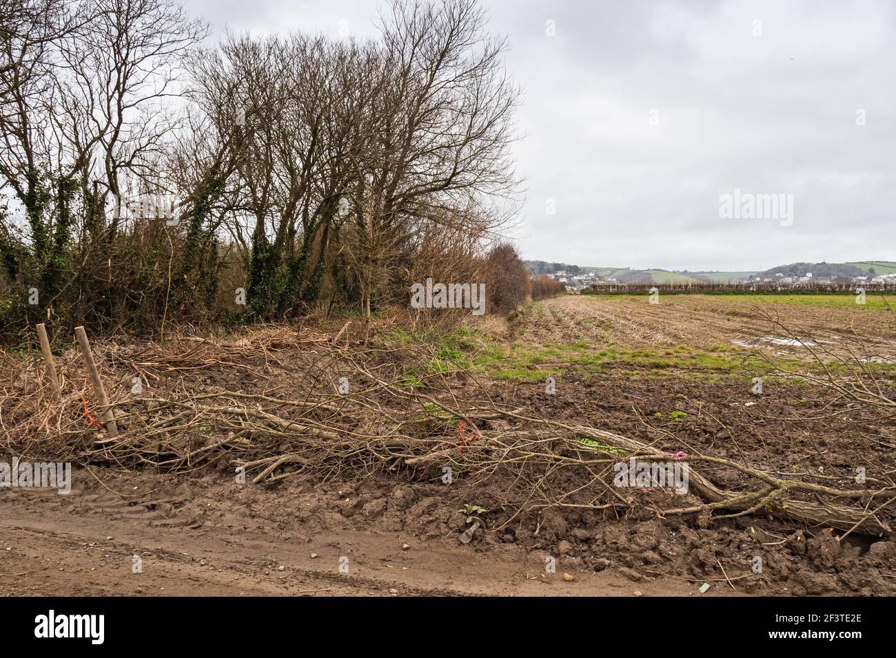 Exemple de pose de couverture, Devon rural, Angleterre. Banque D'Images